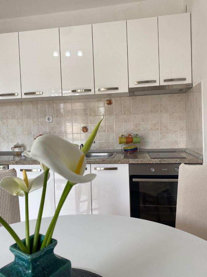 Studio Apartment Novak Čilipi Екстериор снимка